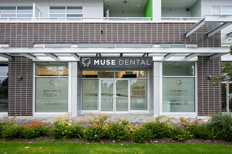 Muse Dental Main Window Photo